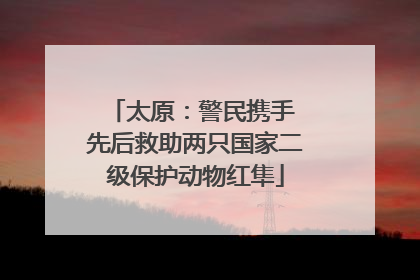 太原：警民携手 先后救助两只国家二级保护动物红隼
